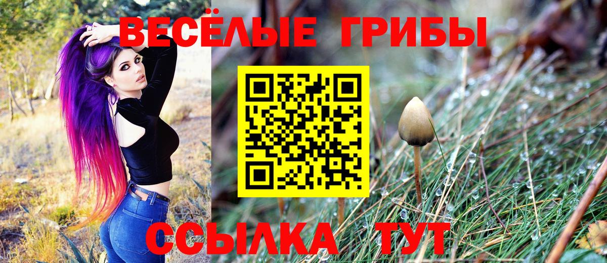 Псилоцибиновые грибы прущие грибы  Вход с VPN  Орёл 